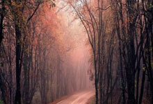 执教同一支国家队场次排行榜：德尚带法国队167场升第3，勒夫第2.