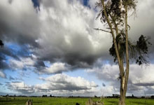 半岛体育官网：武汉车谷江大女足出征亚冠留言互动赢取全队亚冠签名球衣.