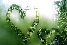 半岛体育官网：亚冬会：中国队包揽自由式滑雪女子大跳台金银铜牌.